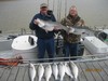 (03/31/2014) - Nice Striped Bass